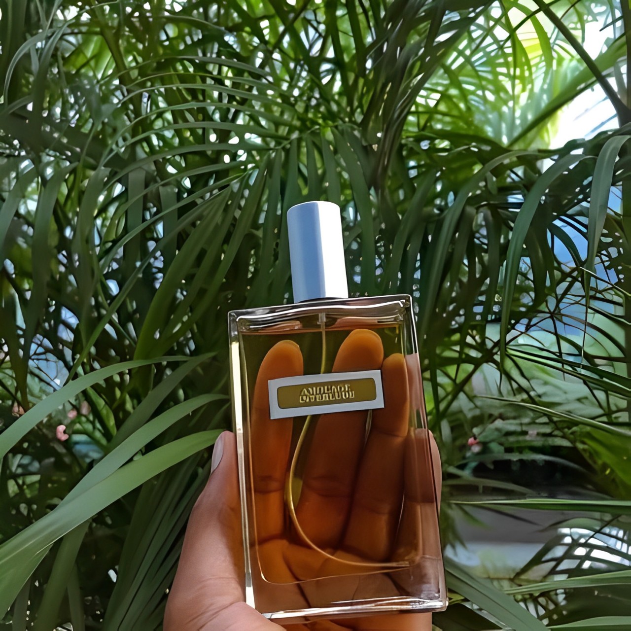 Facial cleanser